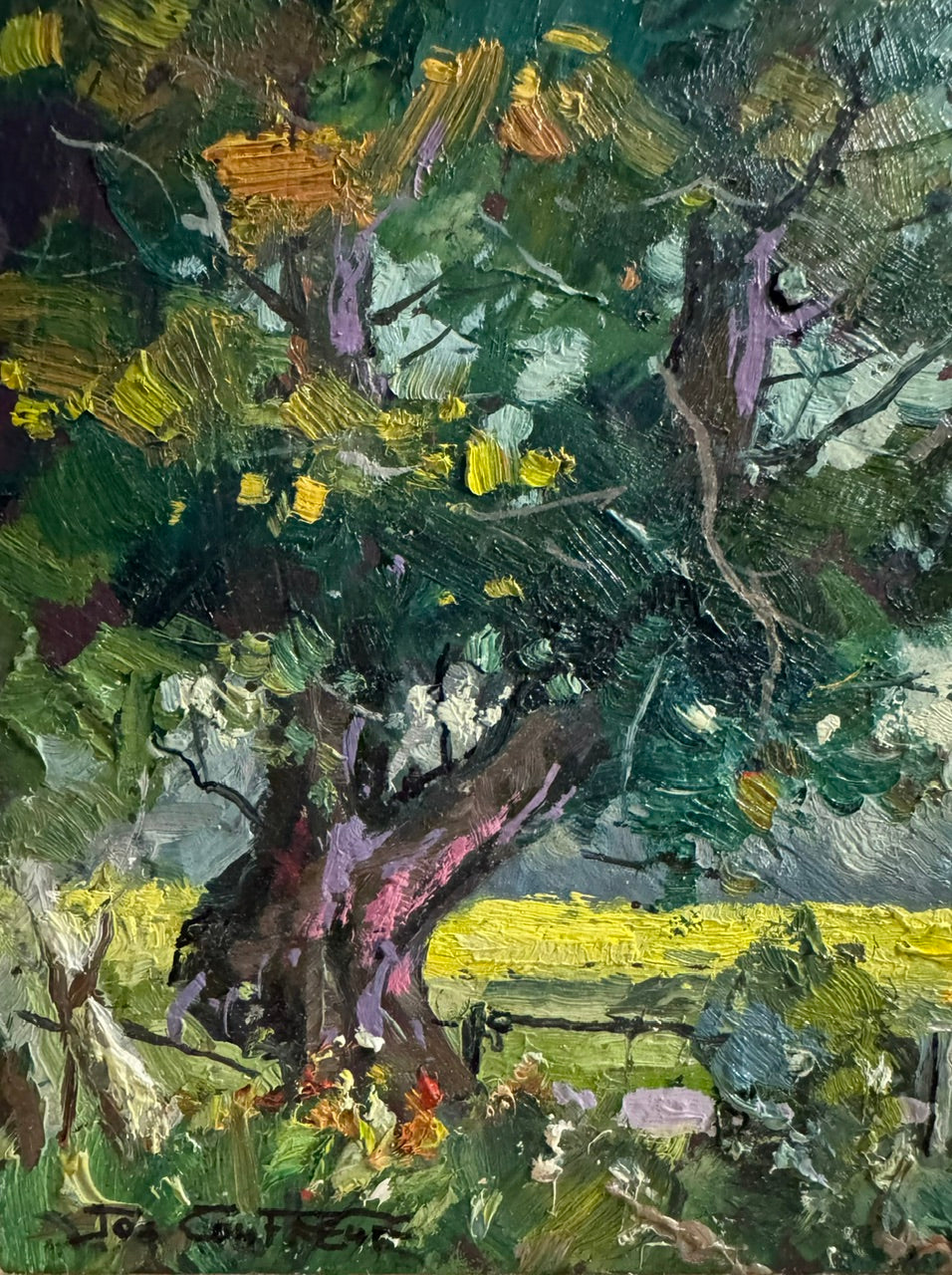 Old Tree on the Farm