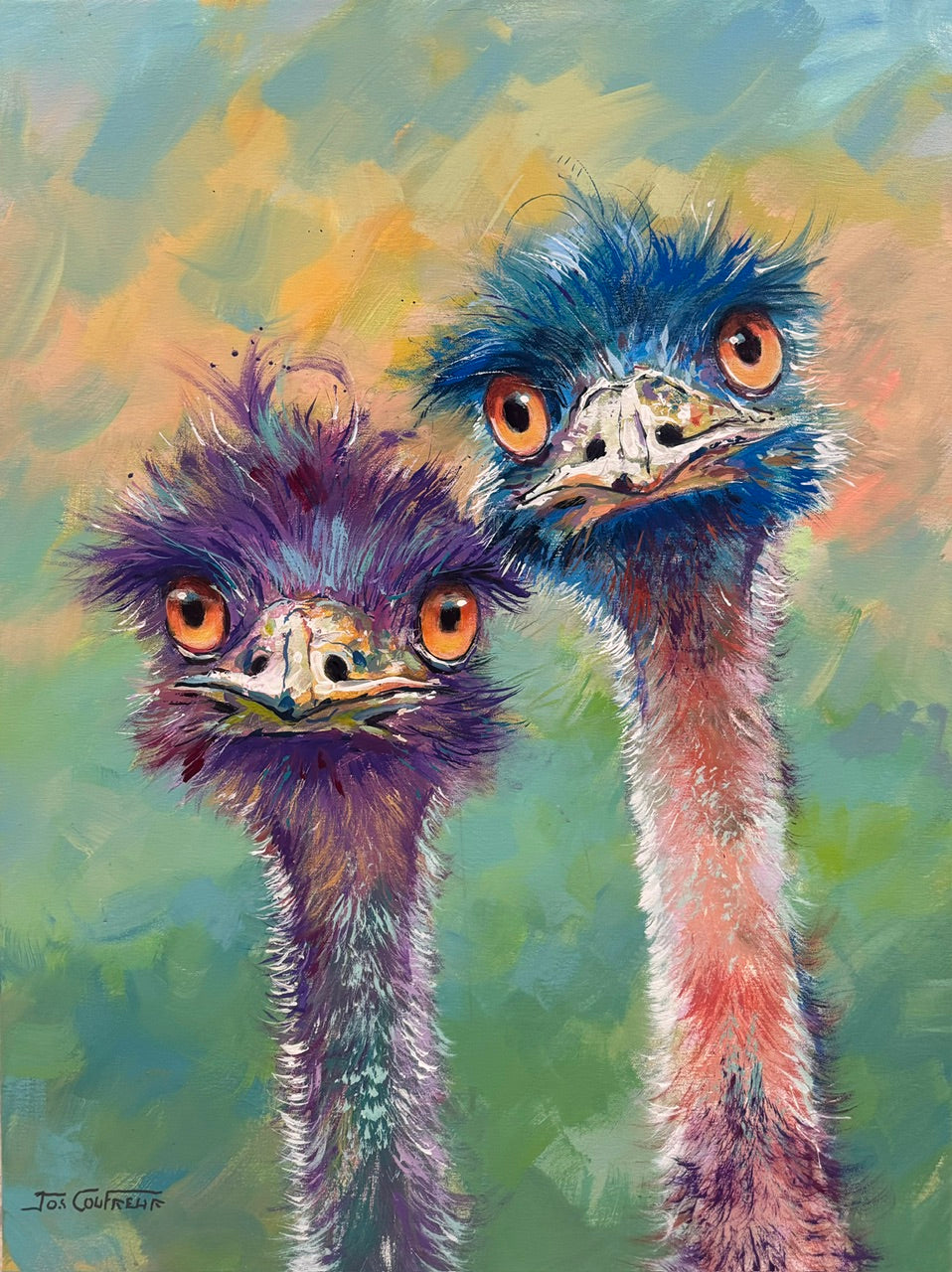 Pair of Emus 4
