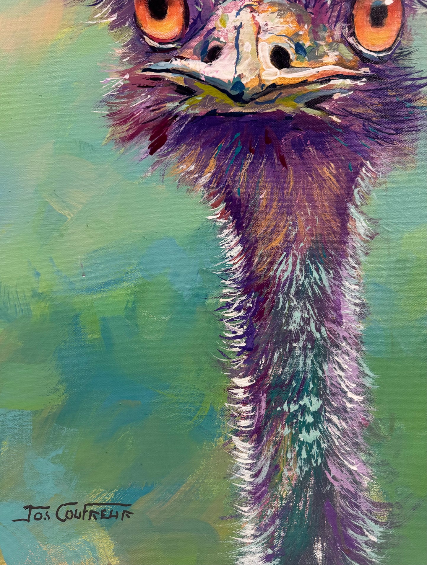 Pair of Emus 4