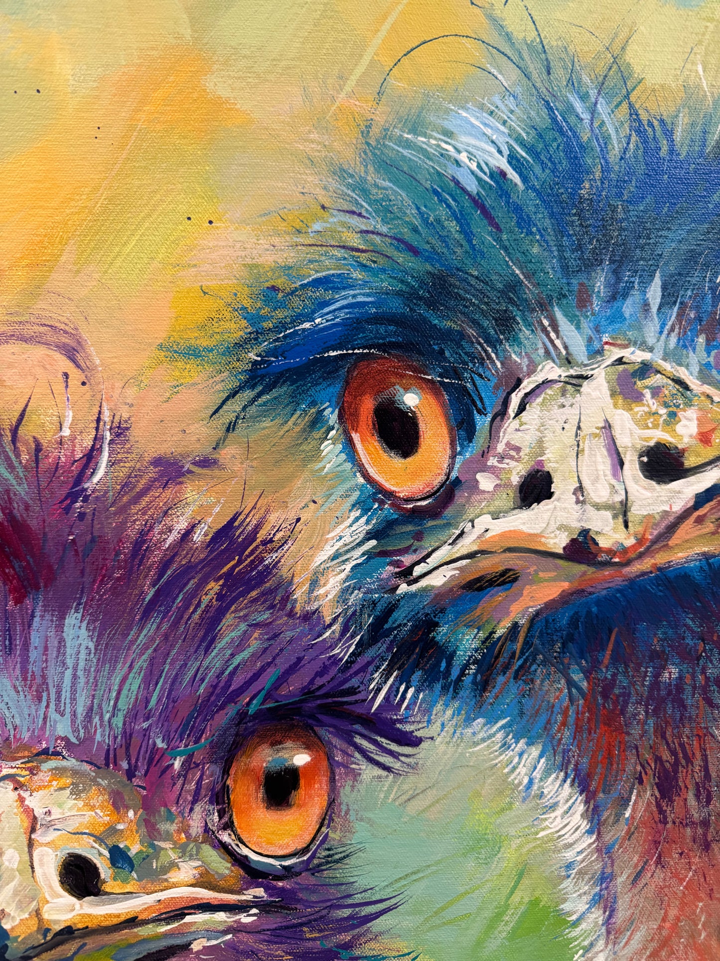 Pair of Emus 4