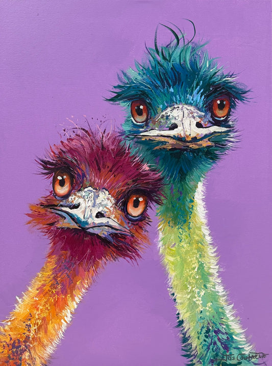 Pair of Emus 5