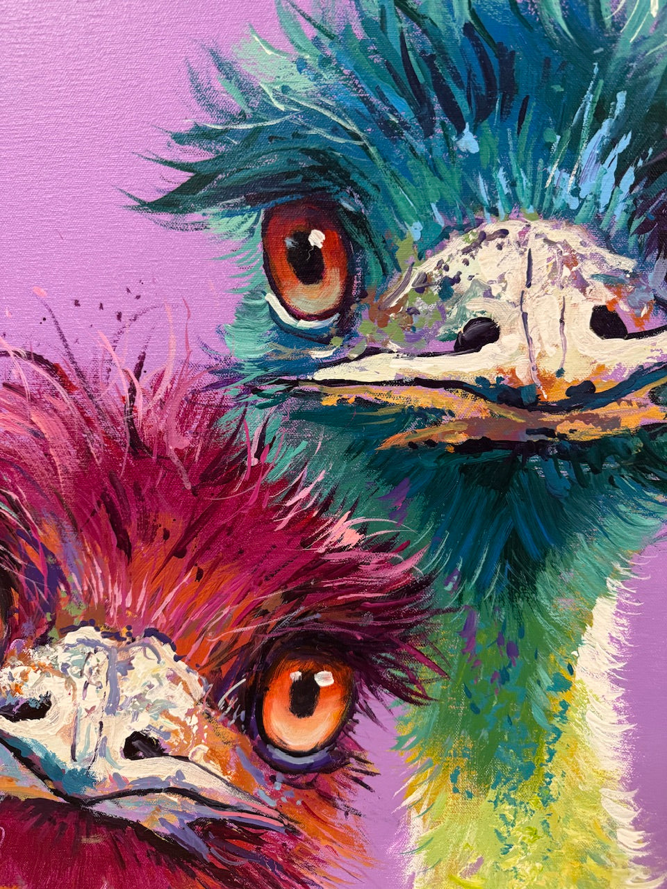 Pair of Emus 5
