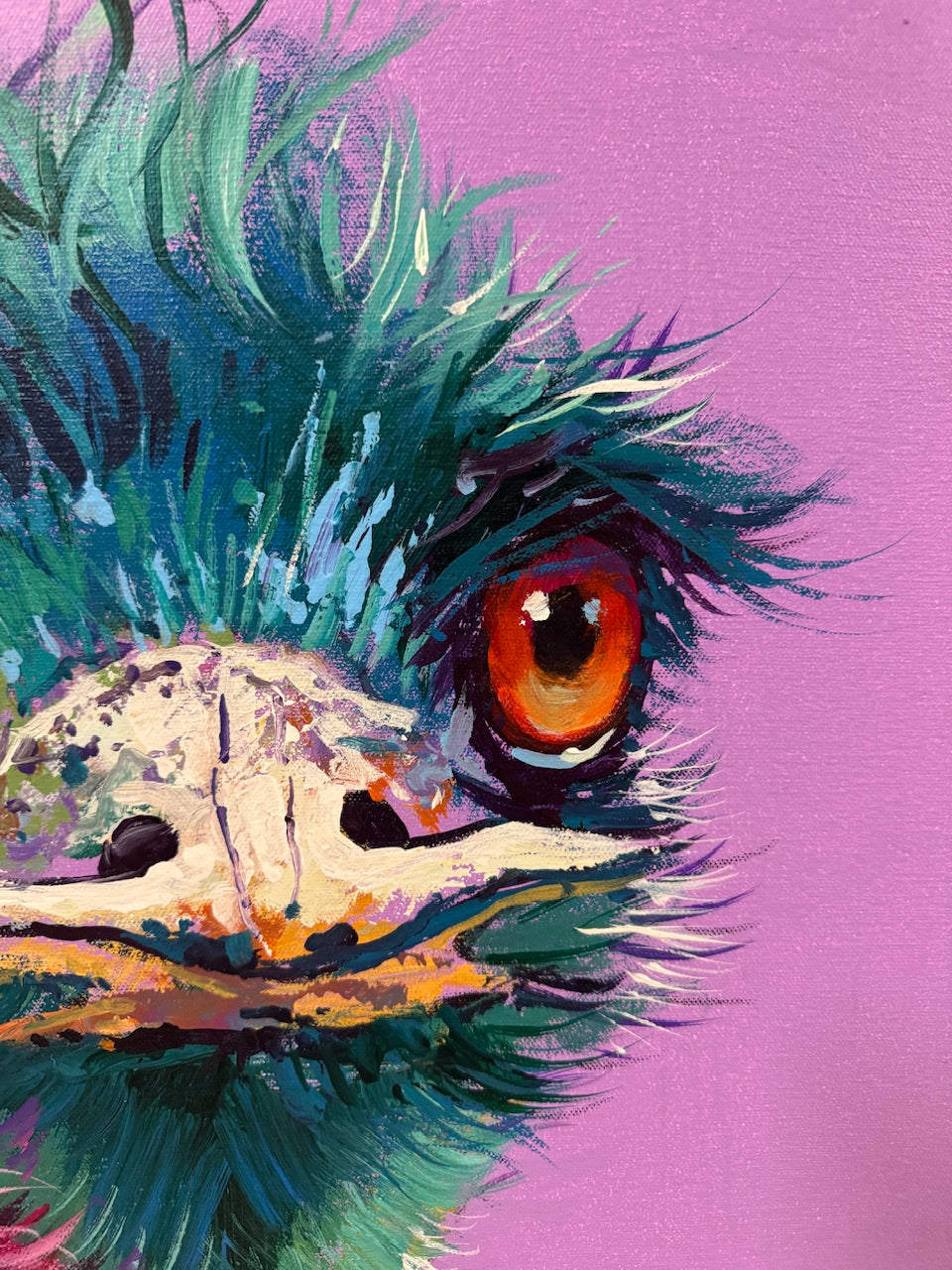 Pair of Emus 5