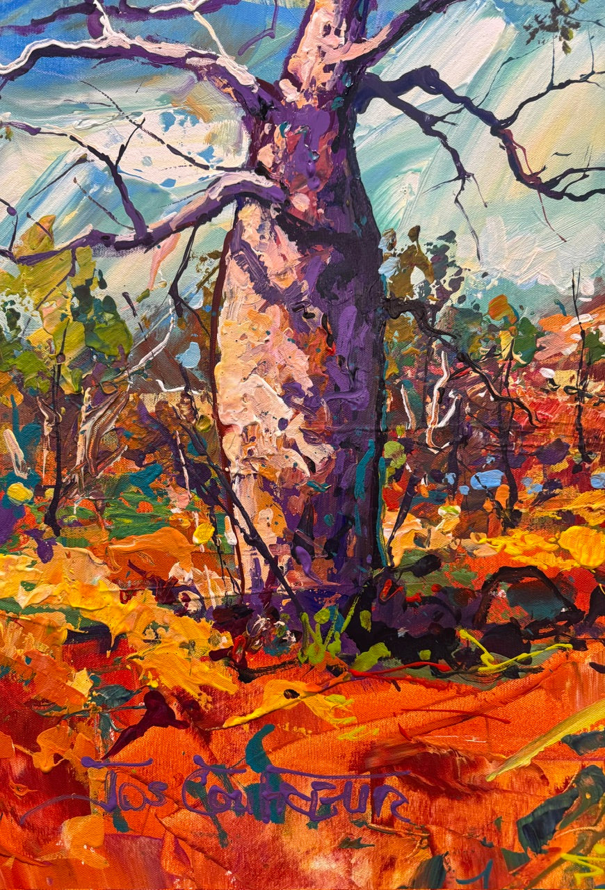 Boab Trees 71
