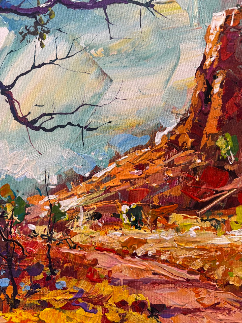 Boab Trees 71
