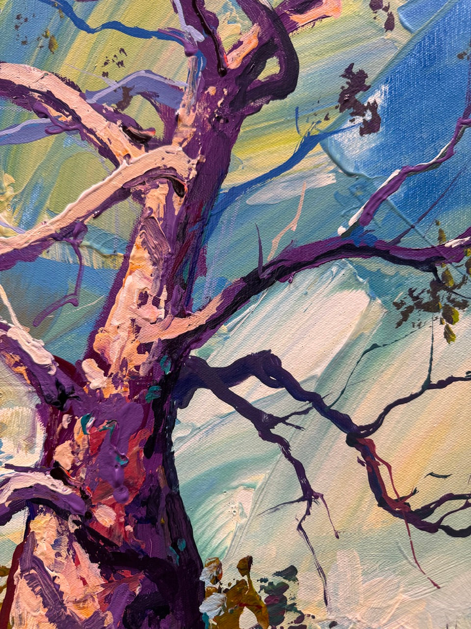 Boab Trees 71