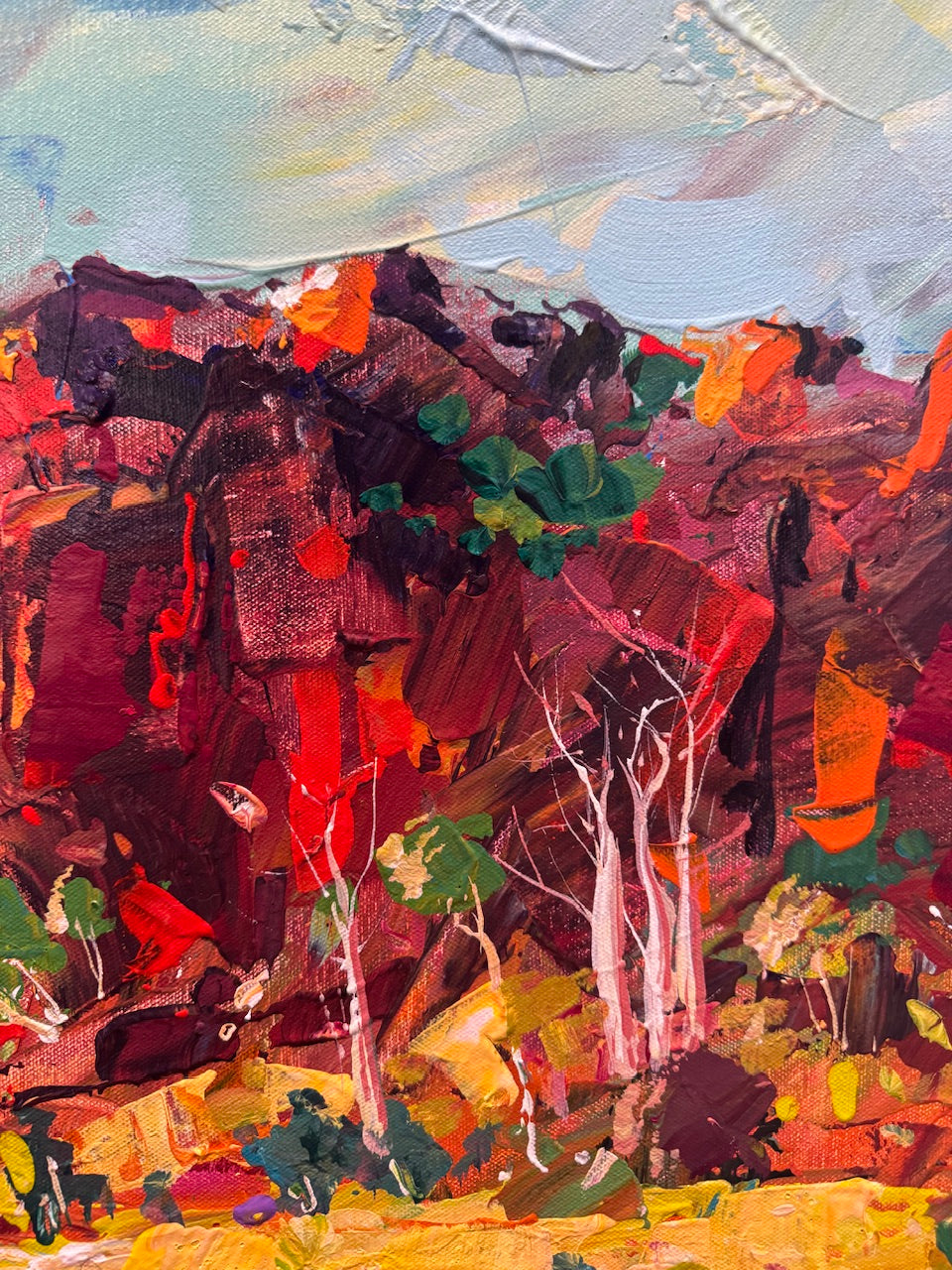 Boab Trees 71