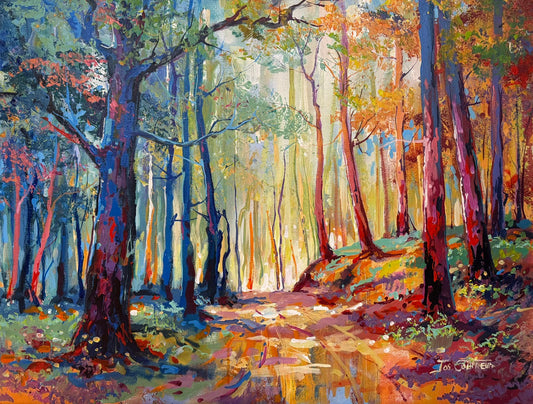 Road through the Forest 25