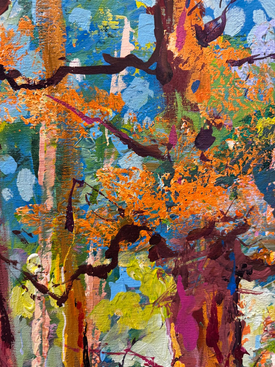 Road through the Forest 26
