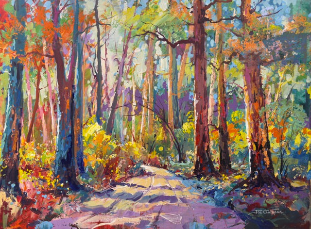 Road through the Forest 26