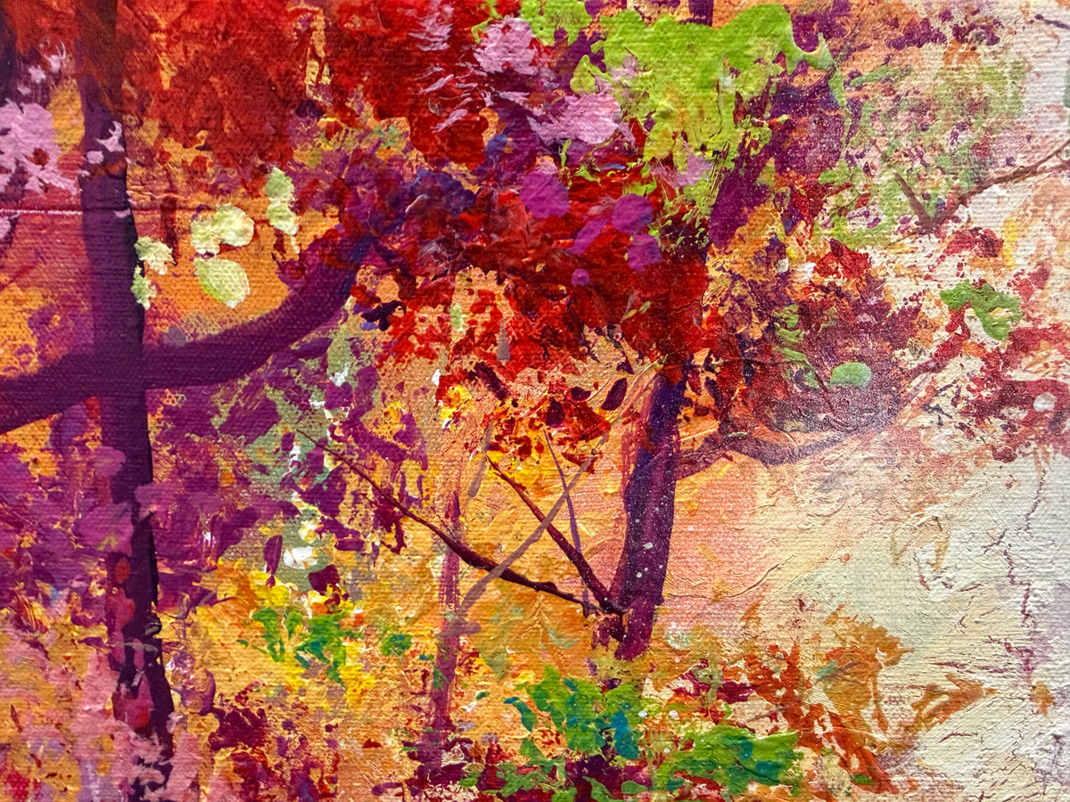 Forest Creek 9