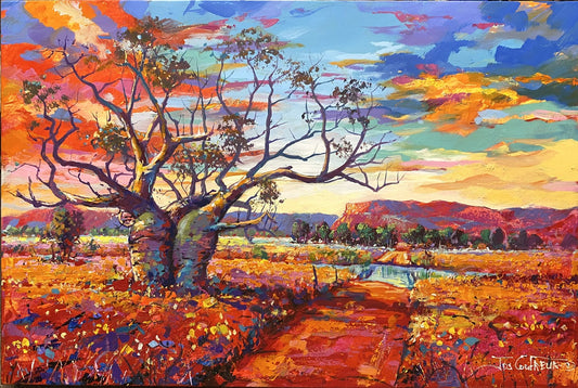 Boab Trees 46