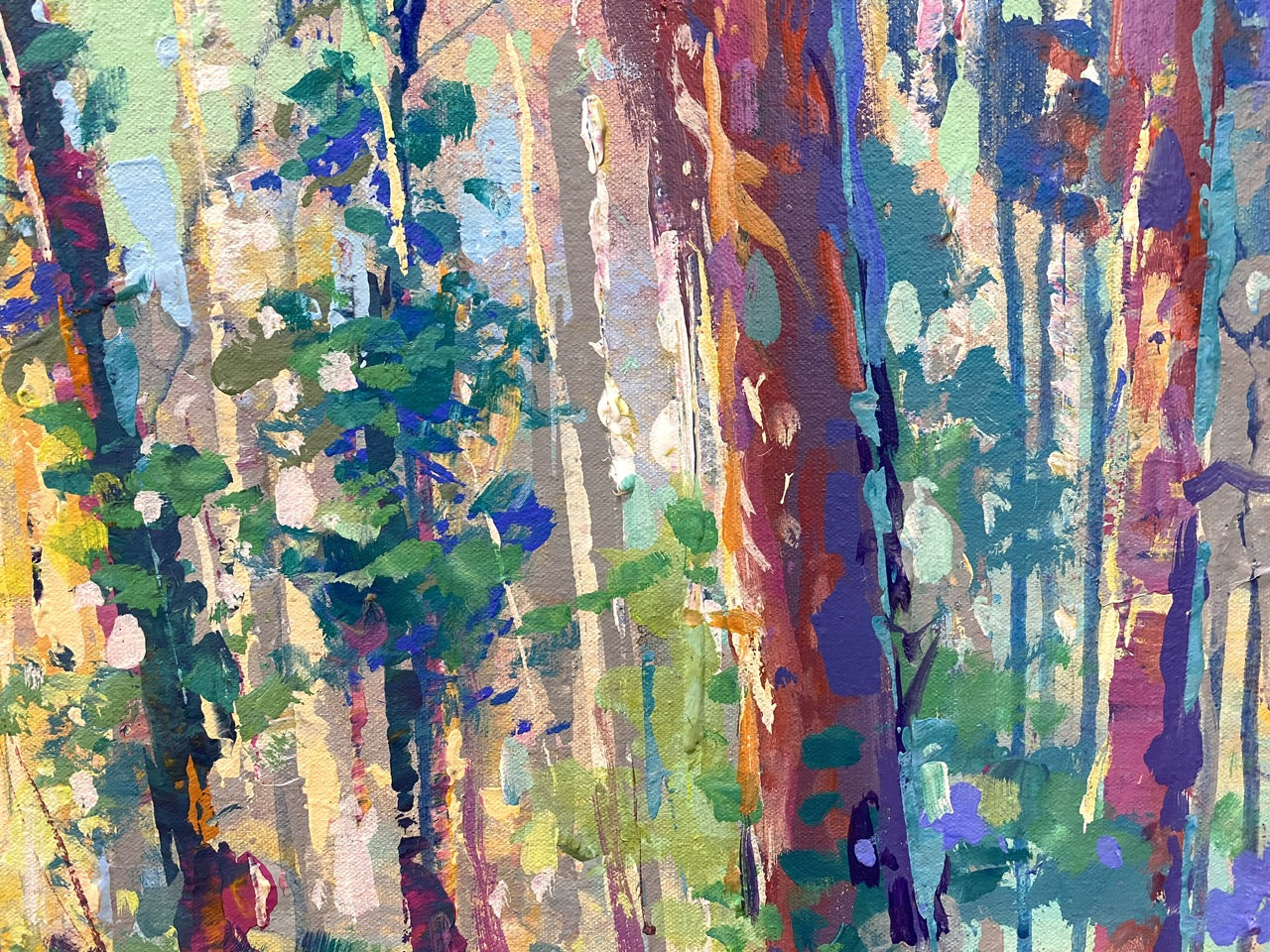 Boranup Forest 10