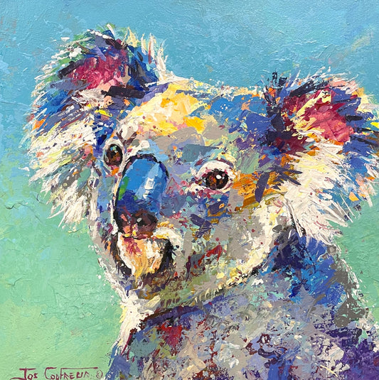 Koala 22