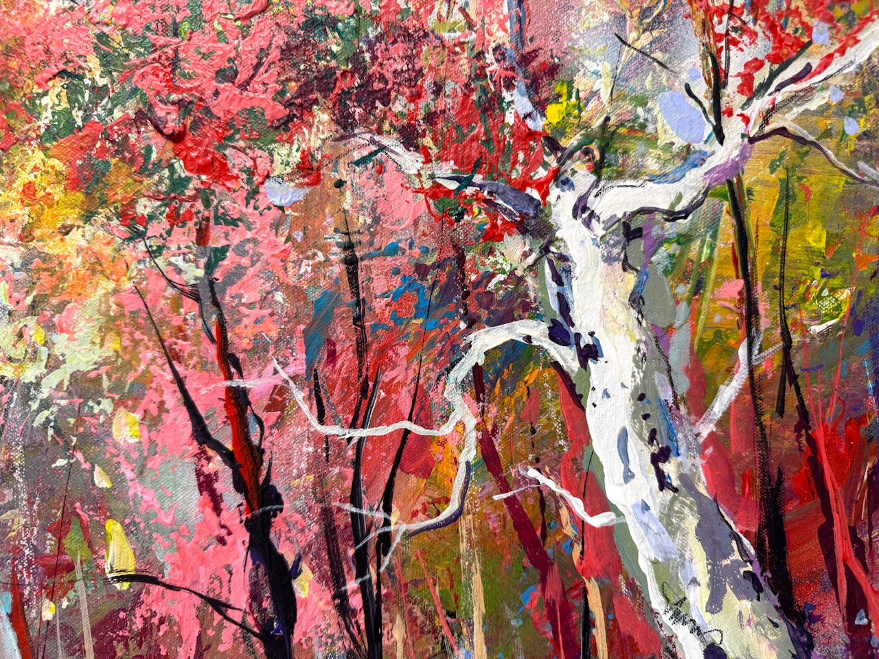 Road through the Forest 22