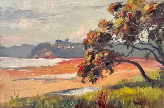 Snells Beach New Zealand