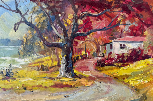 Martin’s Bay New Zealand