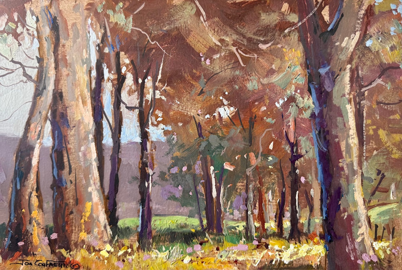 Trees on our Farm