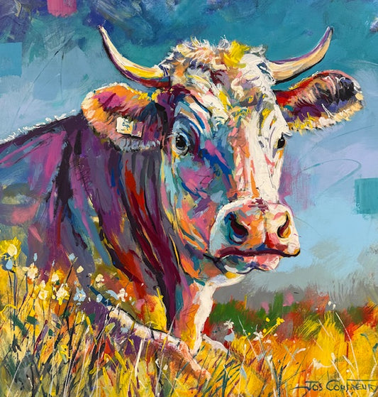 Tansy the Cow
