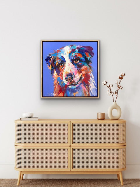 Australian Shepherd Dog