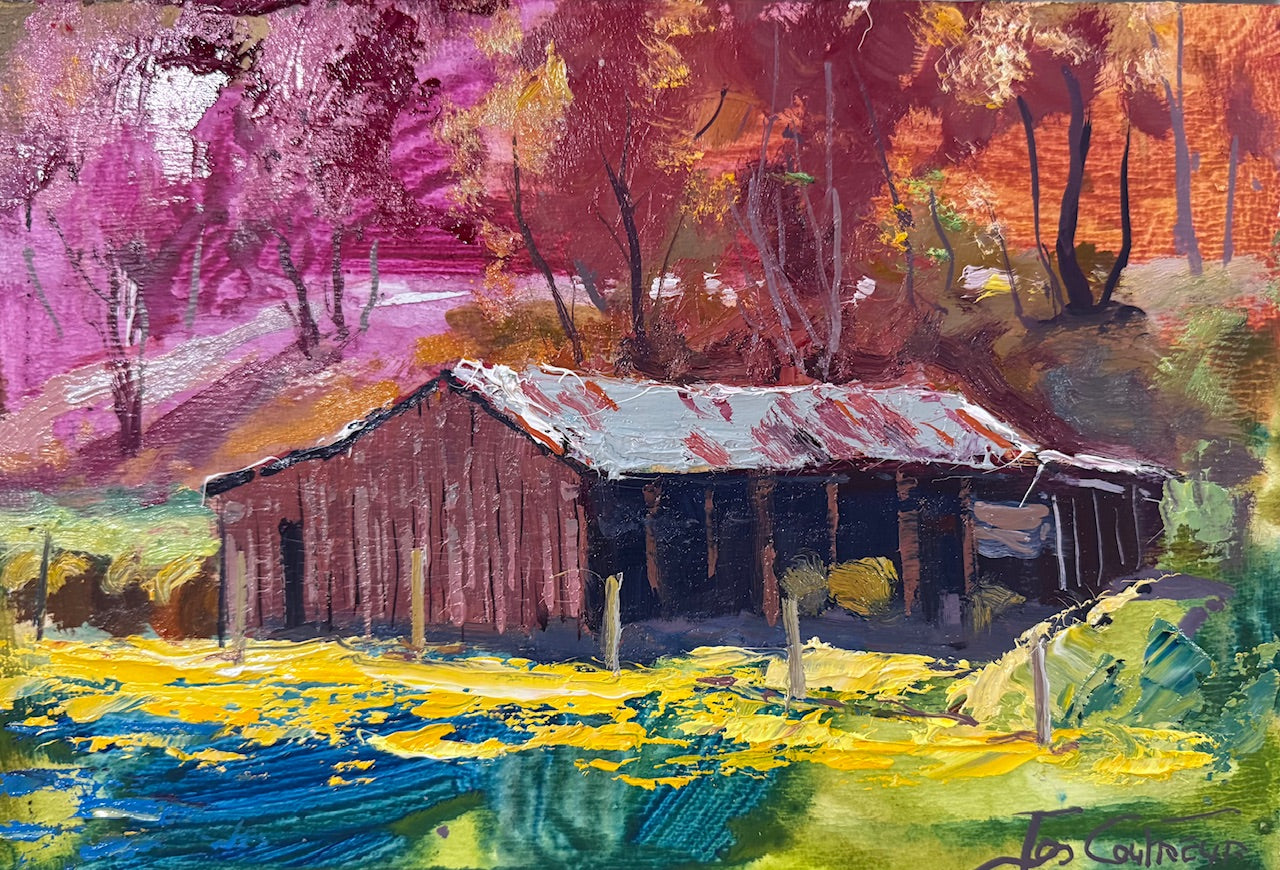 Shed in Mullalyup