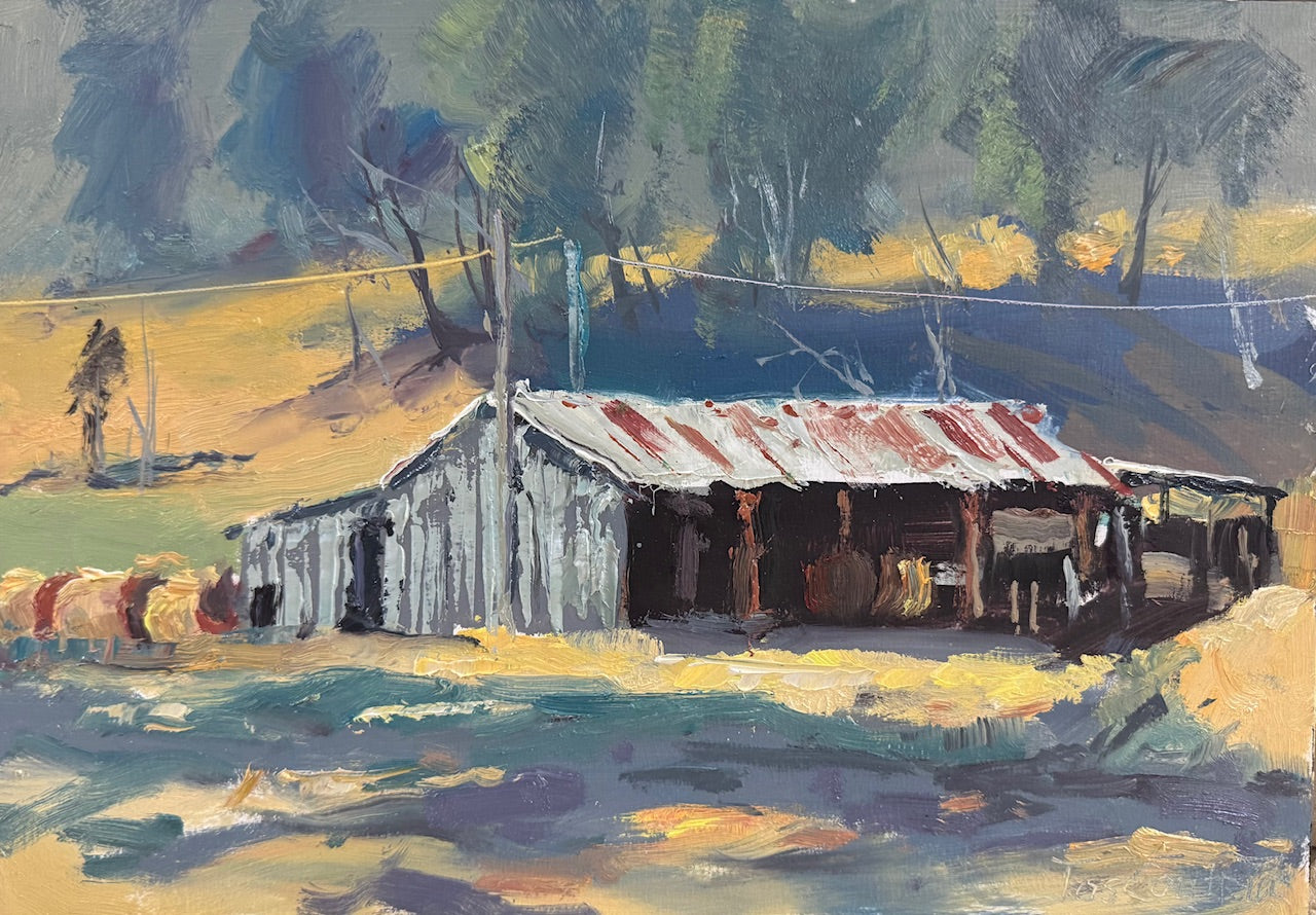 Shed in Mullalyup 2