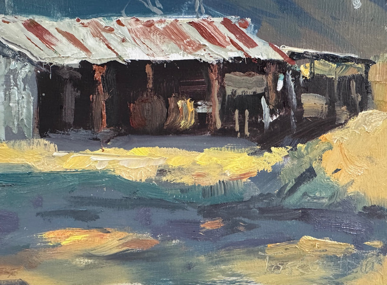 Shed in Mullalyup 2