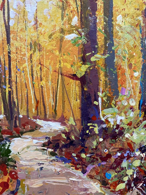 Road through the Forest 5