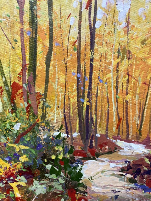 Road through the Forest 5