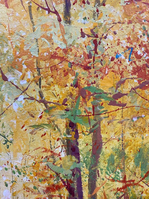 Road through the Forest 5