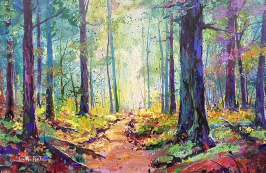 Road through the Forest 6