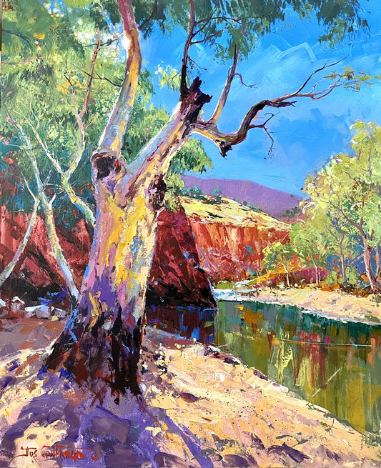 Ormiston Gorge 6