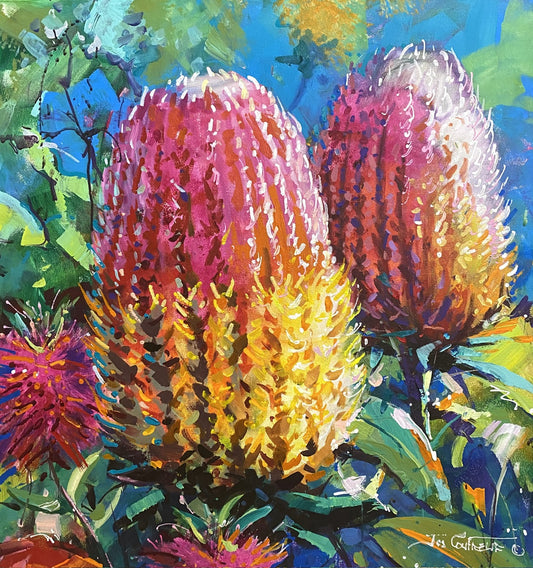 Bloom - Banksia