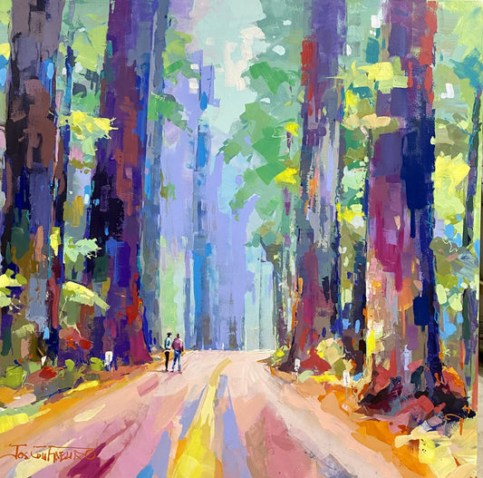 Redwood Forest - USA