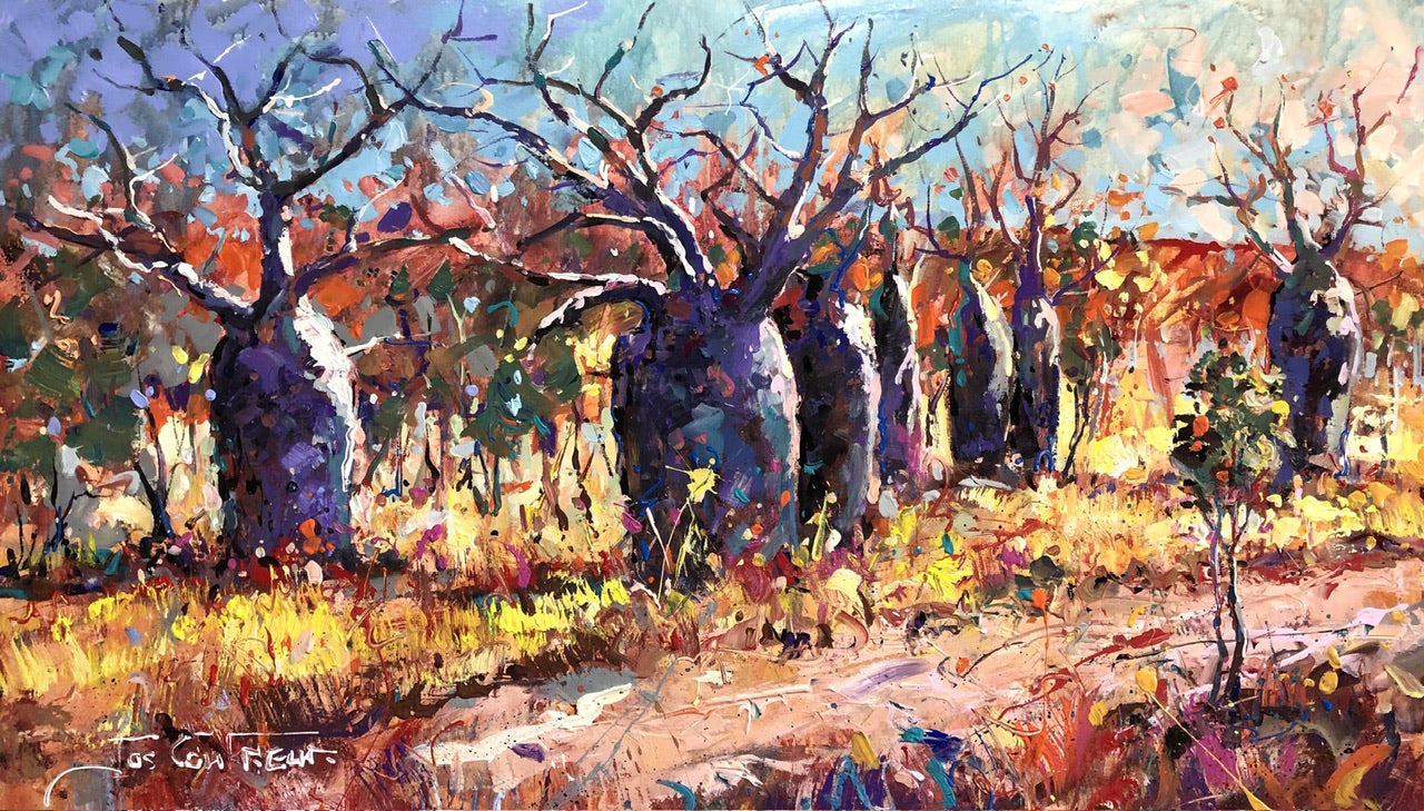 Boab Trees 38