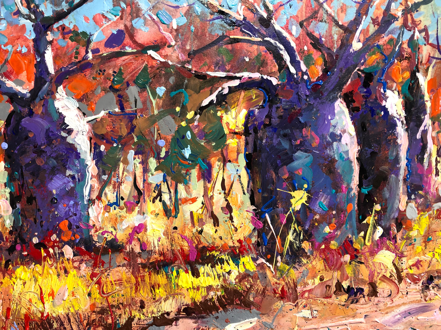 Boab Trees 38
