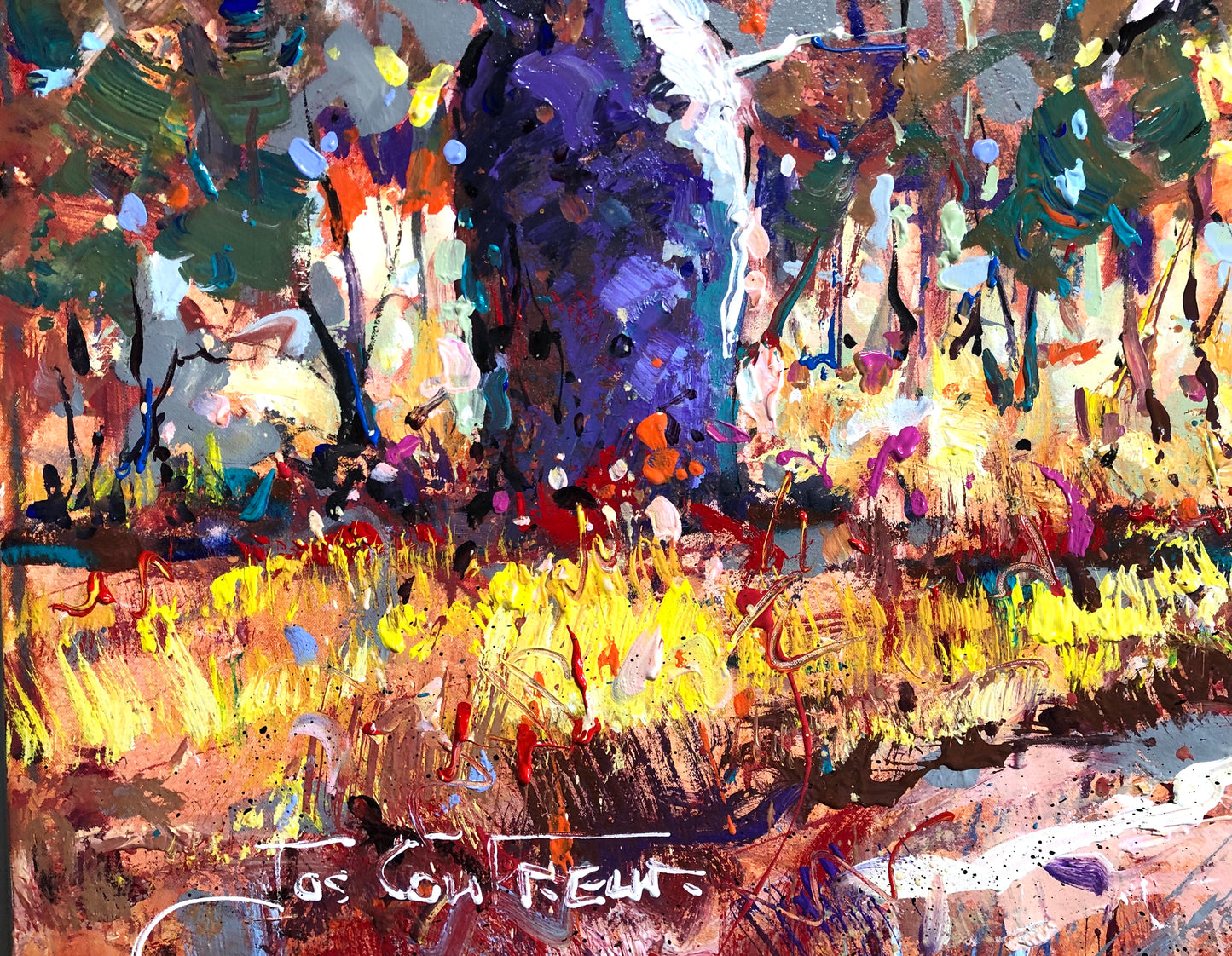 Boab Trees 38