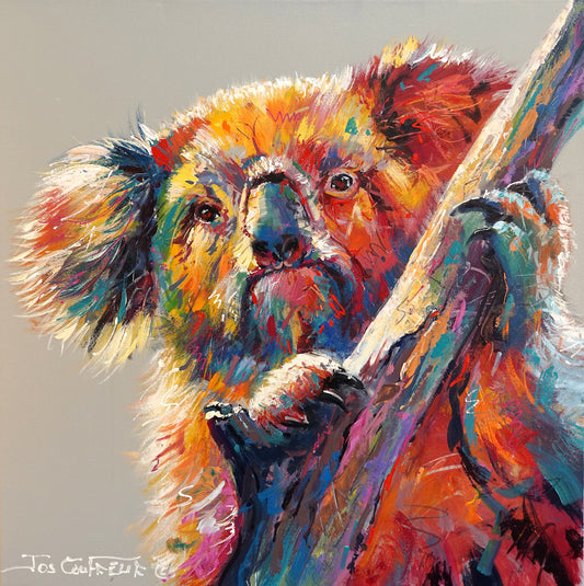 Koala 16 - Reproduction Print