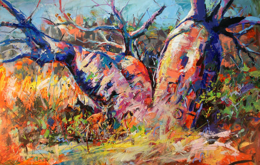 Mermaid Boab Tree - The Kimberleys