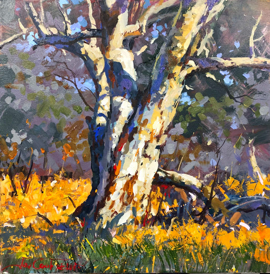 Old Gumtree