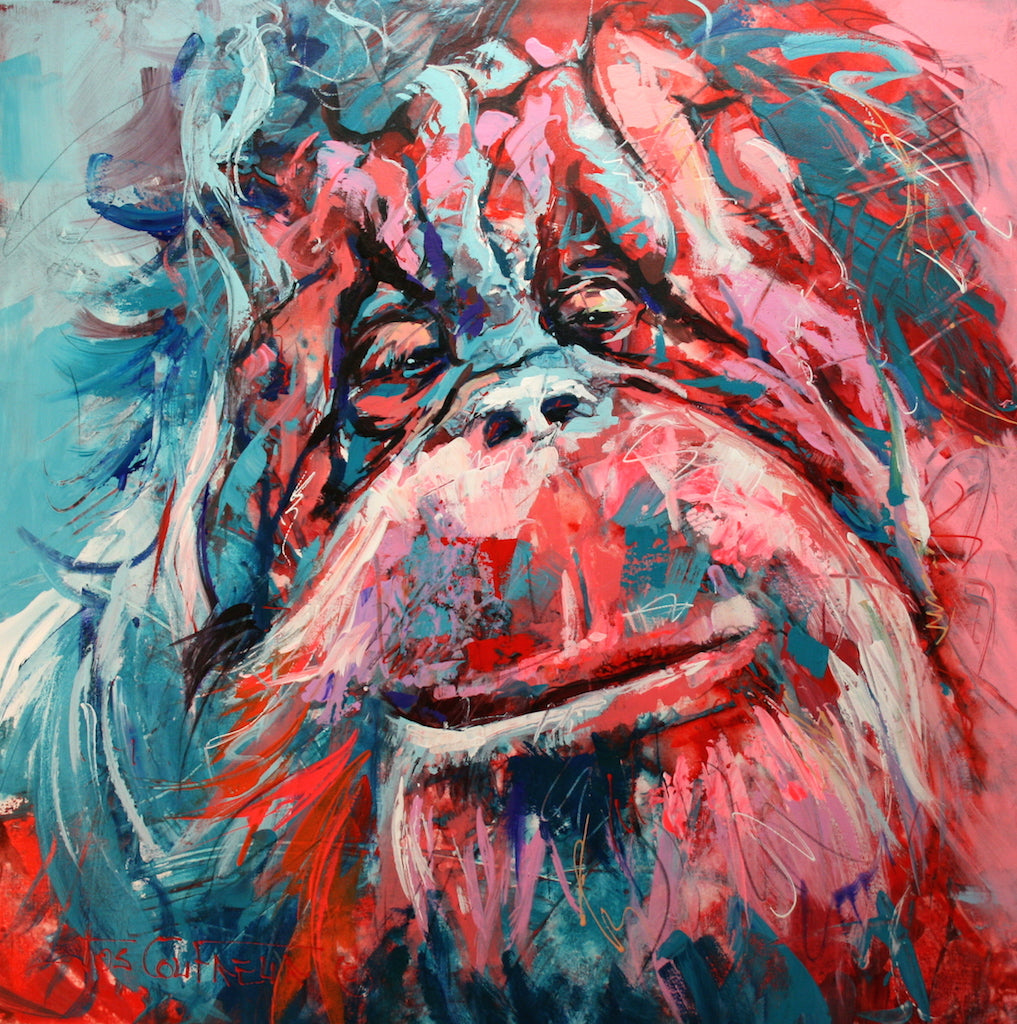 Orangutan Ape