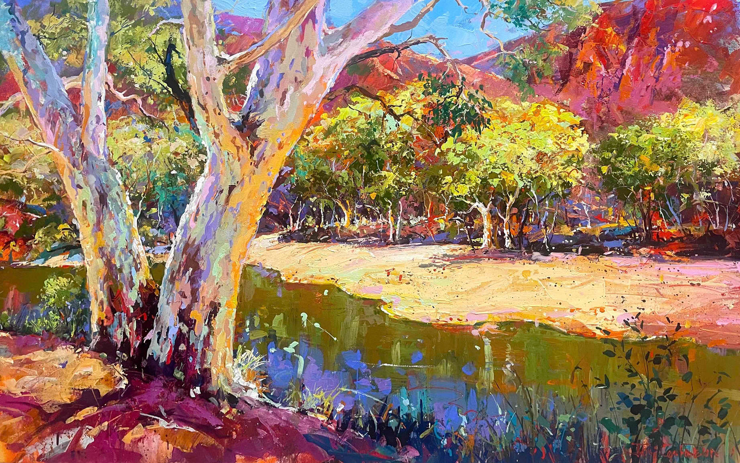 Ormiston Gorge 7