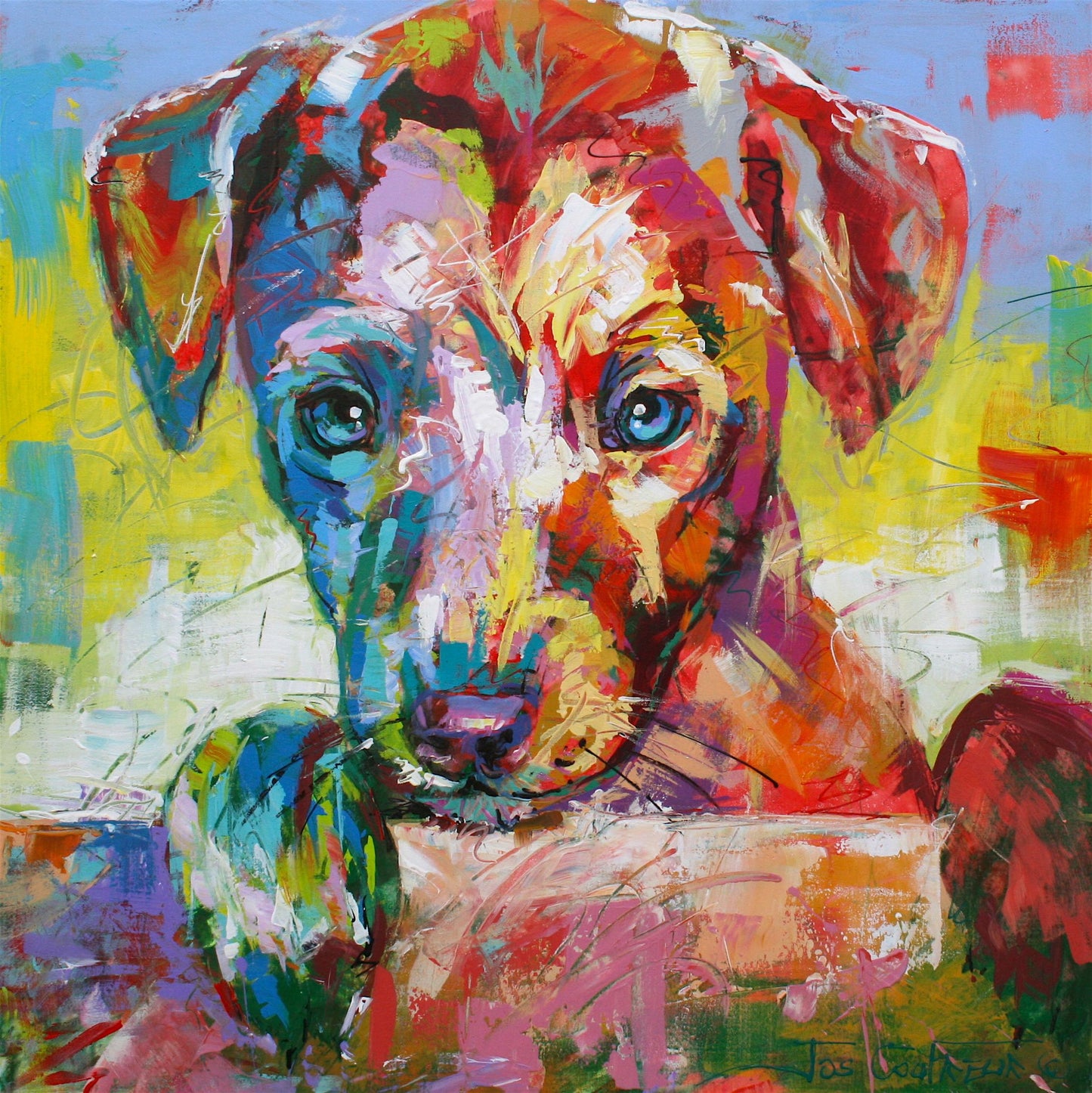 Jack Russel Dog - Looking over Fence