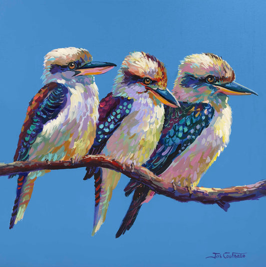 Three Kookaburras 3 - Reproduction Print